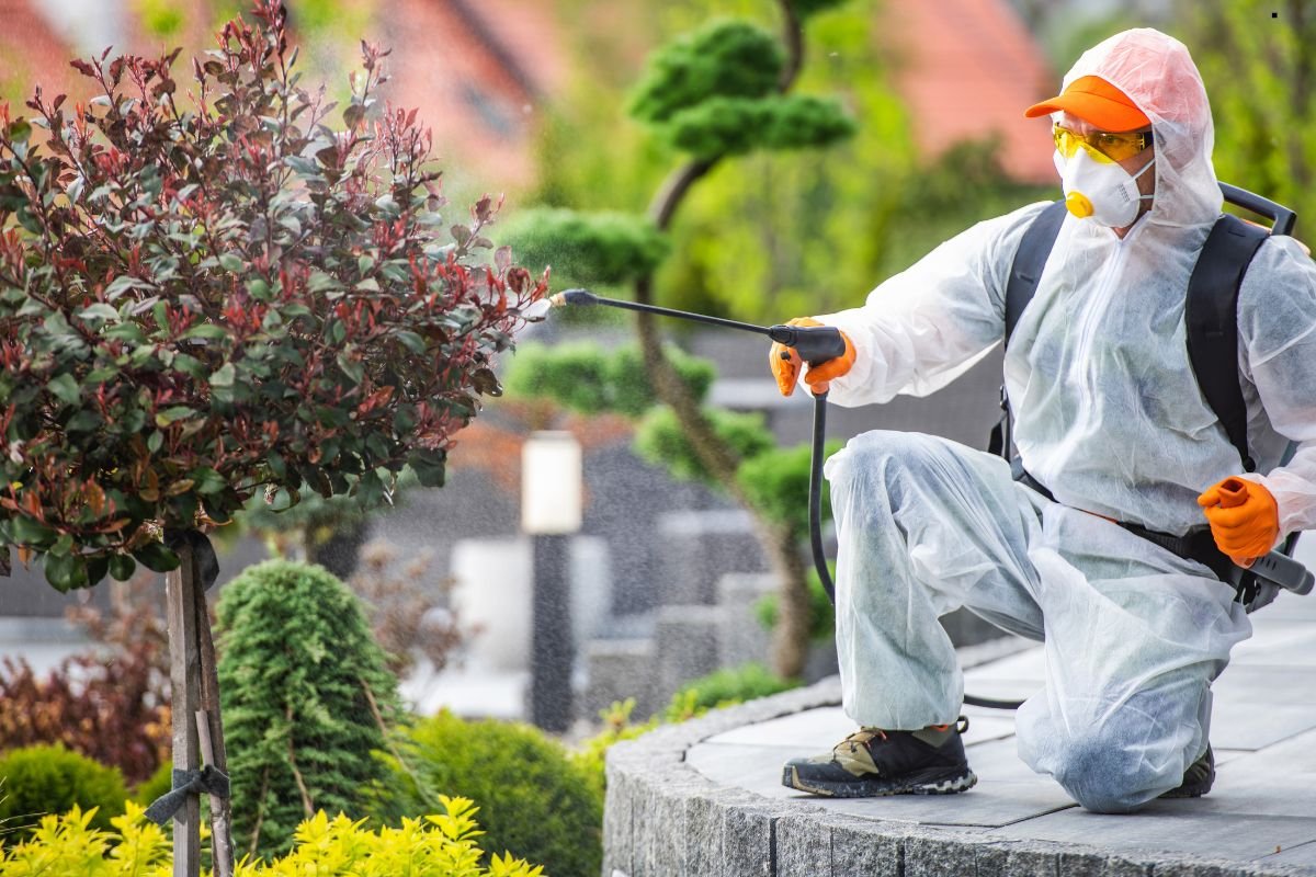 A person in a protective suit and mask sprays a plant in a landscaped garden, ensuring pest control and plant health.