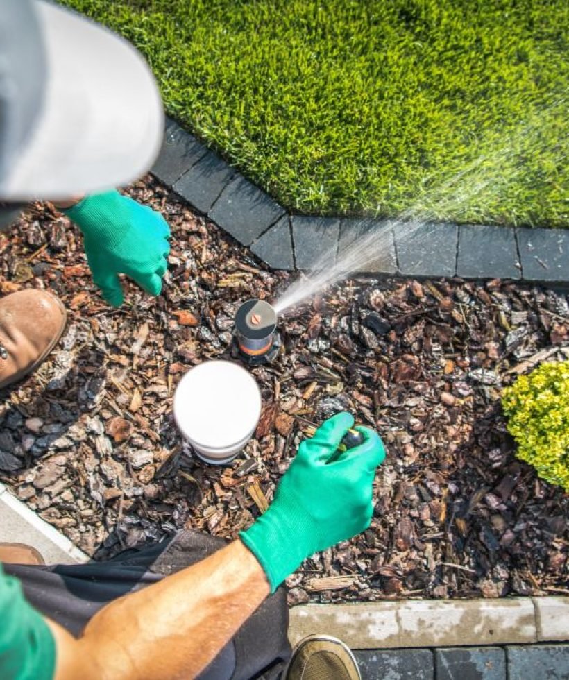 A man wearing a green shirt and gloves waters a plant, showcasing a lawn care service in Bellevue, WA.