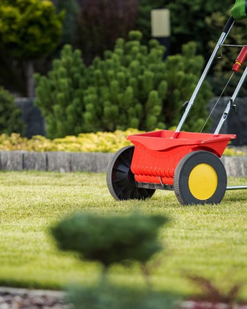 A person using a red lawn mower to mow a lawn, representing a lawn care service in Bellevue, WA.